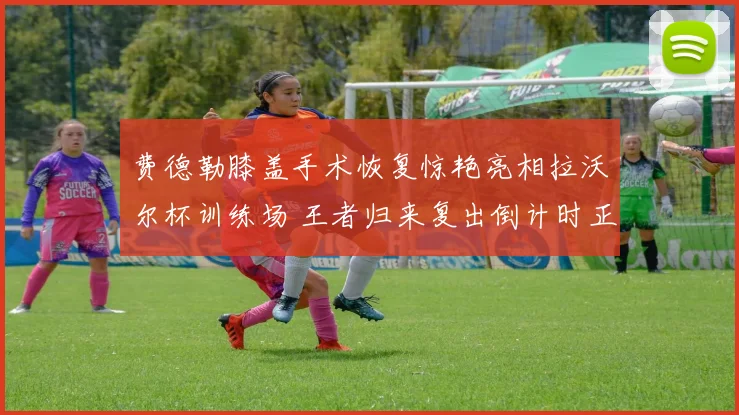 费德勒膝盖手术恢复惊艳亮相拉沃尔杯训练场 王者归来复出倒计时正式拉开全球期待大幕